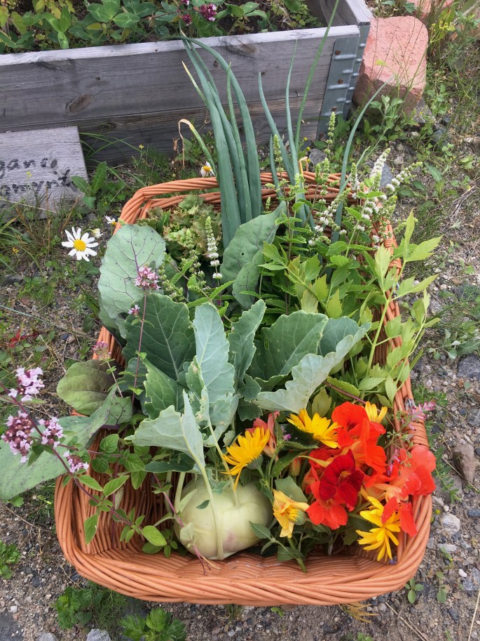 kurv med grønnsaker