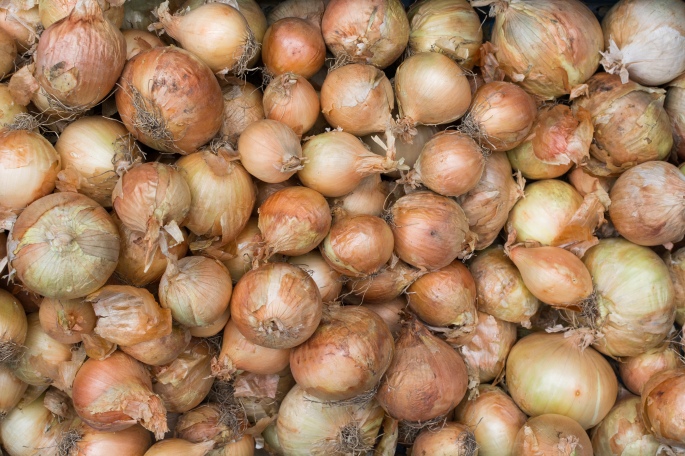 foodiesfeed.com_onions-on-onions-on-onions